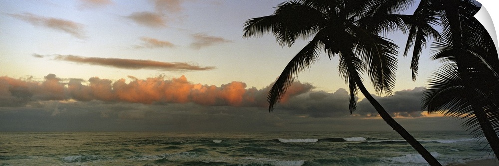 Late afternoon photograph of a tropical seascape with silhouetted palm trees and rolling stormy clouds, the ocean filled w...