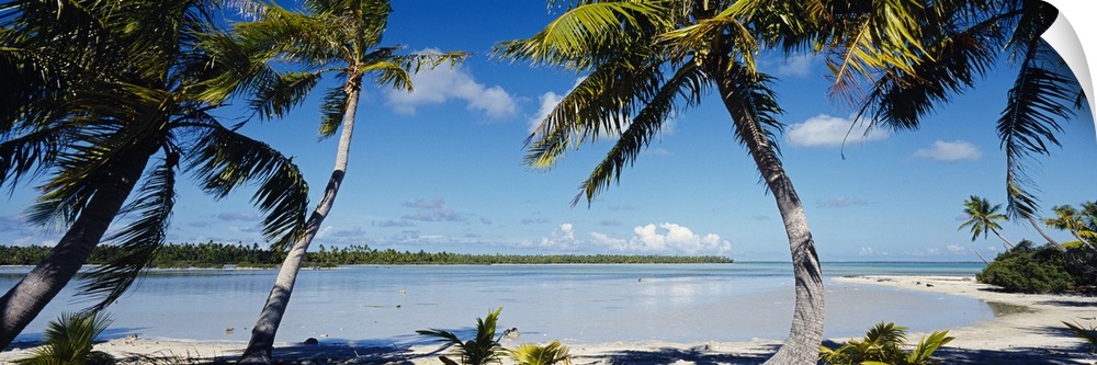 Panoramic photo of palm trees blowing in the wind by the crystal clear French Polynesian waters.