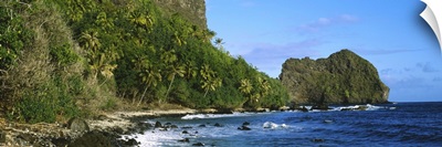Palm trees on the coast, Marquesas Islands, Tahiti, French Polynesia