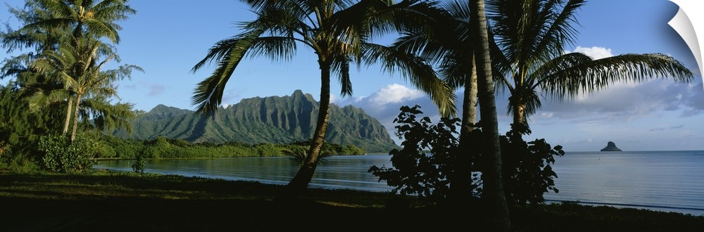 Widen angle photograph on a giant wall hanging of palm trees swaying on the coastline of Kaneohe Bay, mountains on the dis...