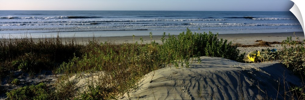 Panoramic photograph taken from behind the dunes on a beach showing small waves in the ocean about to crash onto the sand.