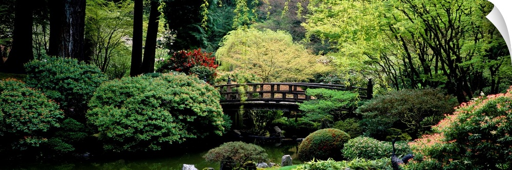 Panoramic view of a garden, Japanese Garden, Washington Park, Portland, Oregon