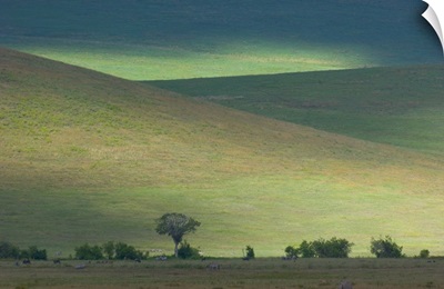Panoramic view of hill, Ngorongoro Crater, Arusha Region, Tanzania