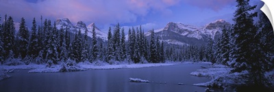 Panoramic view of snowcapped trees and mountains, Bow Valley, Alberta, Canada