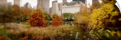 Park with buildings in the background Central Park Manhattan New York City New York State