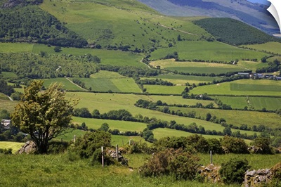 Pastoral Scene Below the Comeragh Mountains, County Waterford, Ireland
