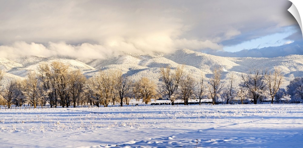 Pasture land covered in snow with Taos Mountain in the background, Sangre De Cristo Range, San Luis Valley, Colorado, USA.