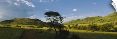 Path on a landscape, Zimbabwe