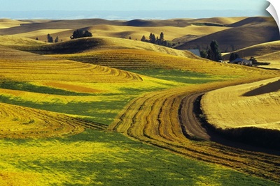 Patterns in farm fields, rolling hills of Palouse region, Washington