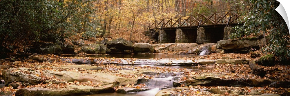 Pennsylvania, Ohiopyle State Park, Cucunber Run, Stream flowing through the forest