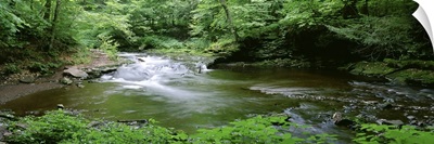 Pennsylvania, Ricketts Glen State Park, River flowing through a forest