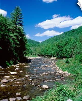 Pennsylvania, World's End State Park, Rocks in Loyalsock Creek