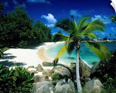 Petite Anse Praslin Seychelles