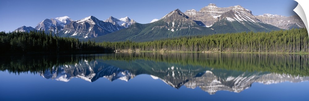 Peyto Lake Banff National Park Alberta Canada