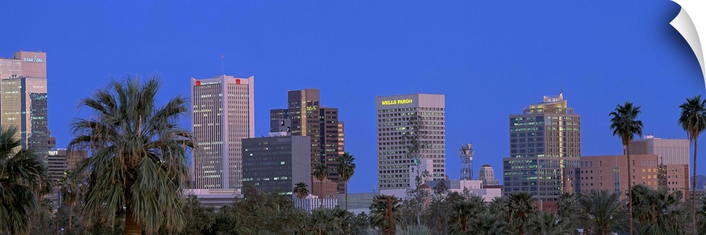 Phoenix, Arizona palm trees and cityscape in a panoramic view.