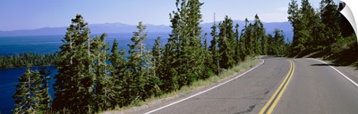 Pine trees on both sides of Highway 89, Lake Tahoe, California