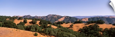Pitcher Peaks Sonoma Co CA