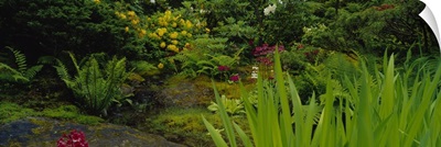 Plants and flowers in a garden, Japanese Garden, Seattle, Washington State