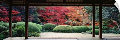 Plants and maple trees viewed from a temple, Shisendo Temple, Kyoto City, Kyoto Prefecture, Japan