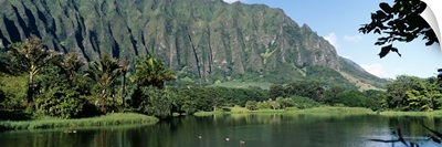 Pond in a garden, Hoomaluhia Botanical Garden, Kaneohe, Oahu, Hawaii