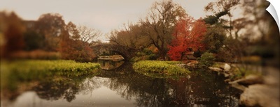 Pond in a park Central Park Manhattan New York City New York State