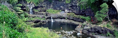 Pools in a forest, Seven Sacred Pools, Maui, Hawaii