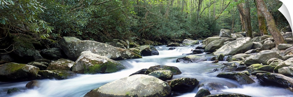 Wide angle photograph of rocky Porter creek rushing through a dense forest of greenery and trees in Smoky Mountains Nation...