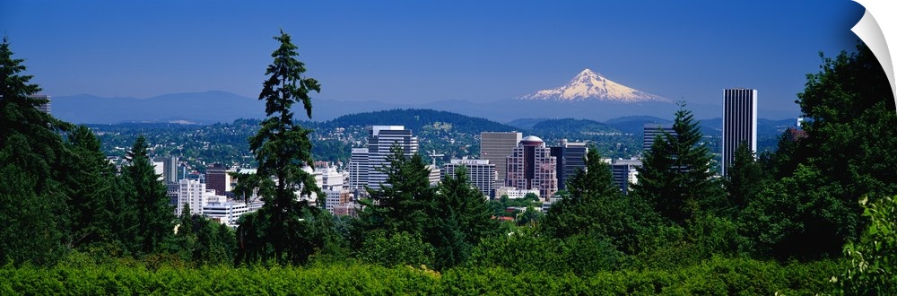 Landscape, panoramic photograph looking down at the Portland skyline from a tree lined hillside.