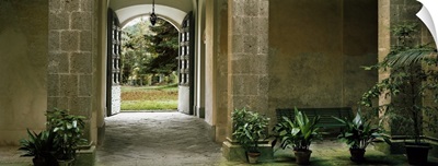 Potted plants near a doorway, La Poderina, Tuscany, Italy