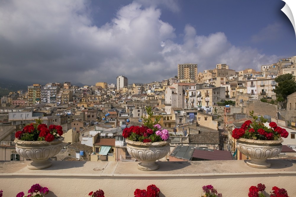 Canvas photo print of three flowers planted in pots along a balcony with an Italian city in the distance.