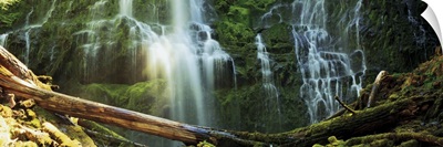 Proxy Falls, Three Sisters Wilderness Area, Willamette National Forest, Oregon