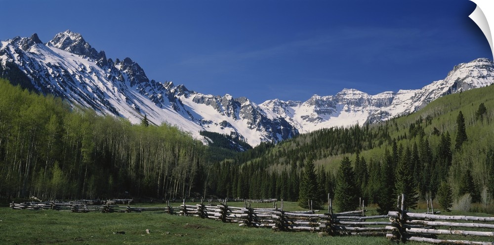 Photo of a fenced field surrounded by a thick forest and mountain range in San Juan Mountains, Colorado (CO).