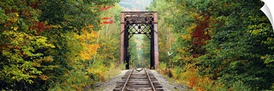 Railroad track passing through a forest, White Mountain National Forest, New Hampshire
