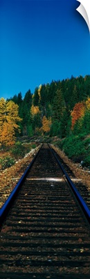 Railroad Tracks British Columbia Canada