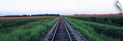 Railroad Tracks Stelle IL