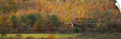 Railway bridge in a forest, Central Bridge, New York State