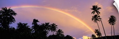 Rainbow between palm trees at dusk, French Polynesia