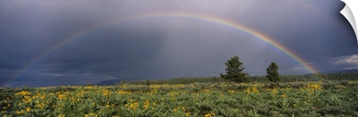 Rainbow Grand Teton National Park WY