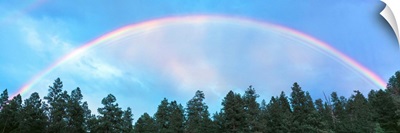 Rainbows AZ