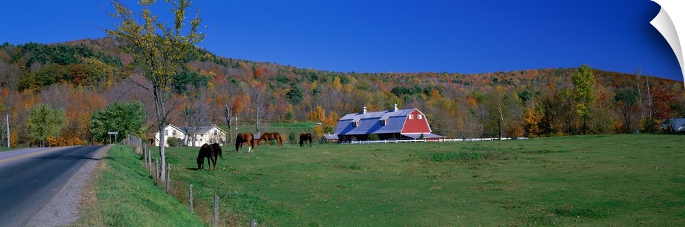 Ranch near Richmond Vermont