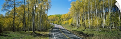 Recreational vehicle driving on road winding through aspen forest
