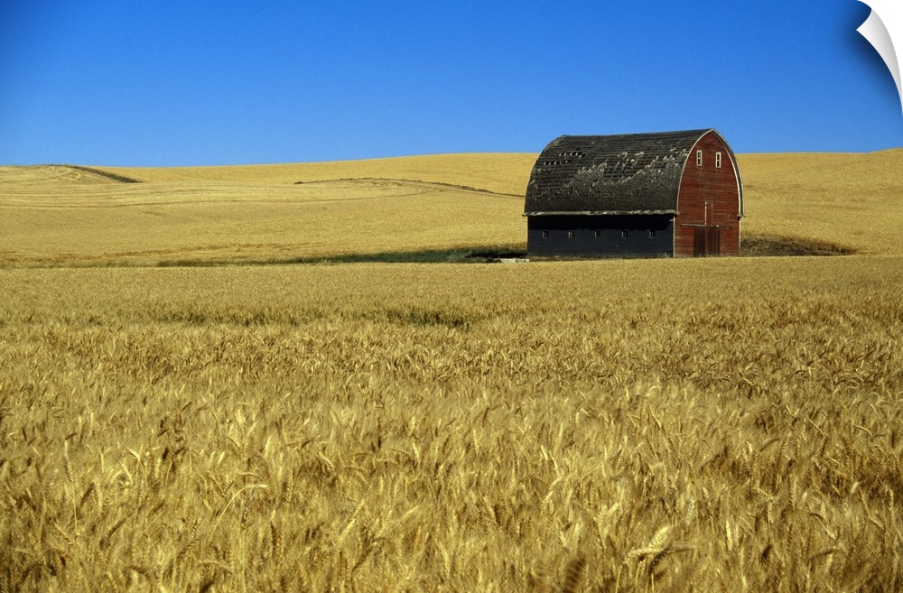 Large wall art of a barn in the middle of a field printed on canvas.