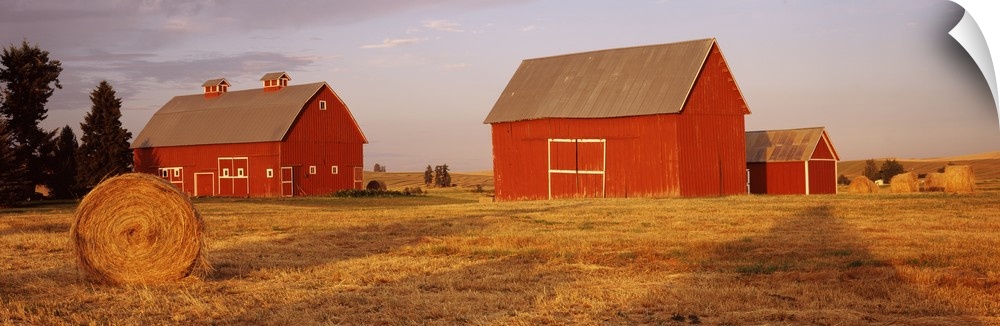 Two red barns sit in a large open field. A single hay bale sits in the foreground of the picture.