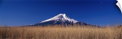 Reeds and Mt. Fuji Oshino Yamanashi Japan