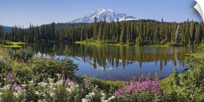 Reflection of a mountain and trees in water, Mt Rainier, Reflection Lake, Mt Rainier National Park, Pierce County, Washington State,