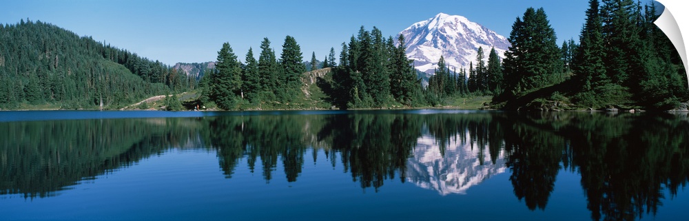 Reflection of a mountain in a lake, Mt Rainier, Mt Rainier National Park, Pierce County, Washington State