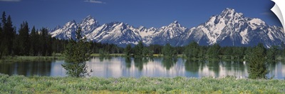Reflection of a mountain range and pine trees in water, Grand Teton National Park, Wyoming