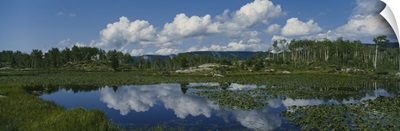 Reflection of clouds in a pond, Molas Divide, San Juan National Forest, Colorado