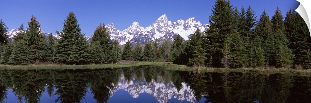 Reflection of mountains and trees in a lake, Schwabachers Landing, Grand Teton National Park, Wyoming,