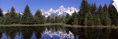 Reflection of mountains and trees in a lake, Schwabachers Landing, Grand Teton National Park, Wyoming,